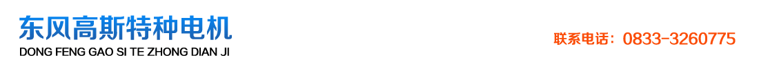 樂(lè)山東風(fēng)高斯特種電機(jī)技術(shù)有限公司
